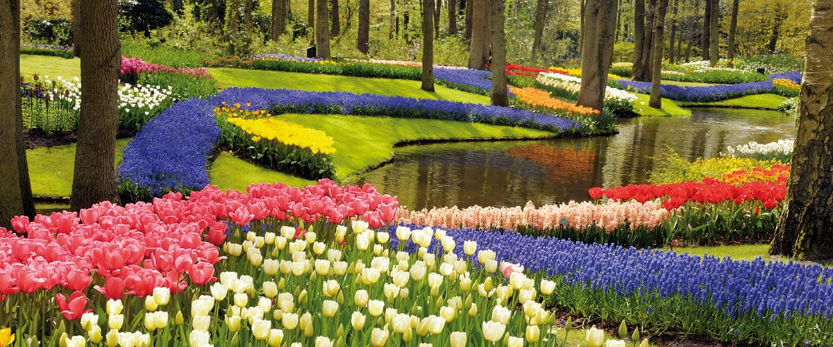 Tulips and hyacinths in the Keukenhof Gardens, Netherlands